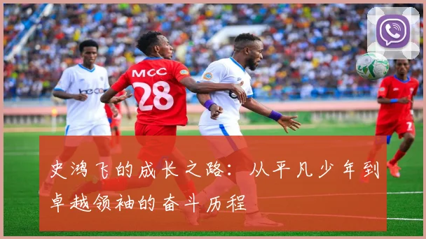 史鸿飞的成长之路：从平凡少年到卓越领袖的奋斗历程