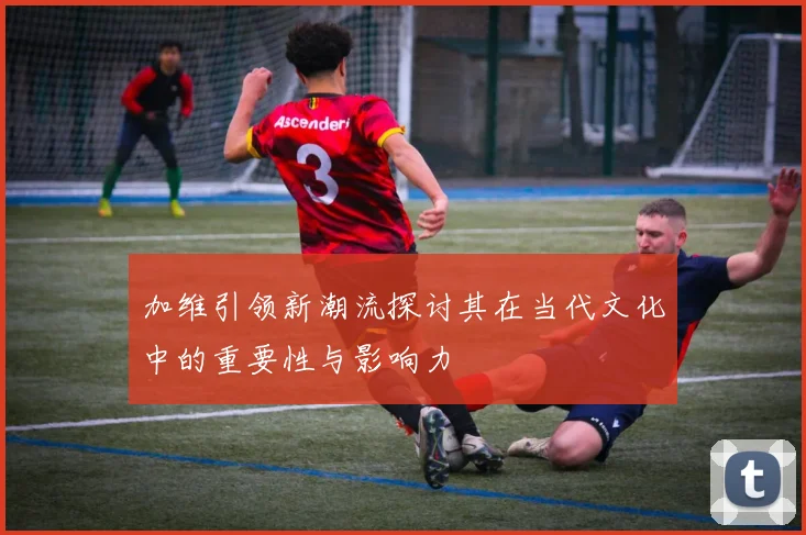 加维引领新潮流探讨其在当代文化中的重要性与影响力