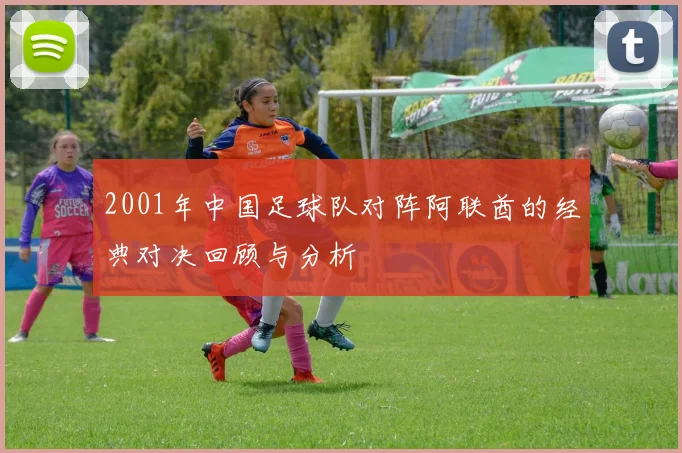 2001年中国足球队对阵阿联酋的经典对决回顾与分析