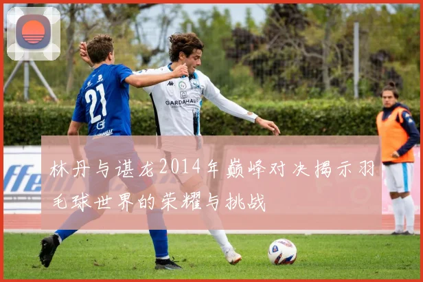 林丹与谌龙2014年巅峰对决揭示羽毛球世界的荣耀与挑战