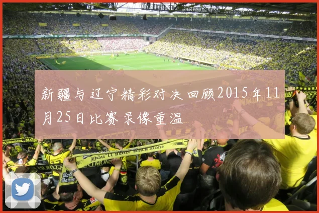 新疆与辽宁精彩对决回顾2015年11月25日比赛录像重温
