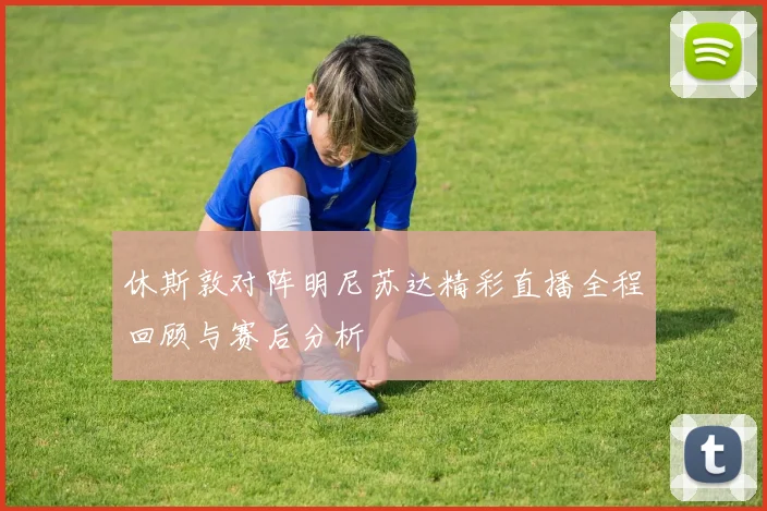 休斯敦对阵明尼苏达精彩直播全程回顾与赛后分析